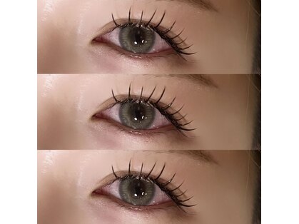 ポラリス(Polaris)の写真