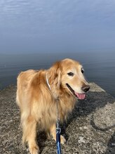 リラクゼーションなごみ 加賀店 秋常 