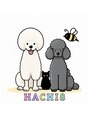 ハチ(HACHI8)/HACHI8スタッフ一同