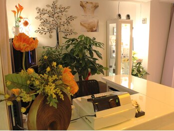 多もあ/☆明るい店内[新宿・新大久保]