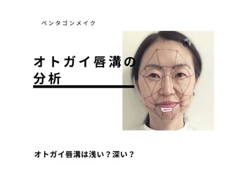 ブルースター(BLUE STAR)/オトガイ唇溝の分析