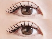 ネリネ 博多(nerine)/フラットラッシュ160本