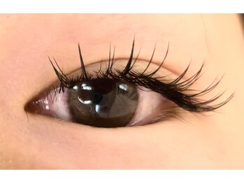 プレモ(Premo)/フラットラッシュ120本