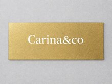 Carina&co 【カリーナ＆コー】高円寺/パリジェンヌ/まつげパーマ/マツエク/アイブロウの雰囲気（プロの視点でこだわりのアイブロウ施術）
