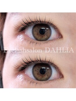 ダリア(DAHLIA)/パリジェンヌラッシュリフト