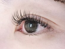 アマービレ(Amabile)/フラットラッシュ150本