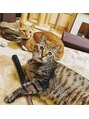 ミーナヴェル(Mi-Nabelle) 猫を二匹飼っています♪キジトラのチーと茶トラのチャイです★