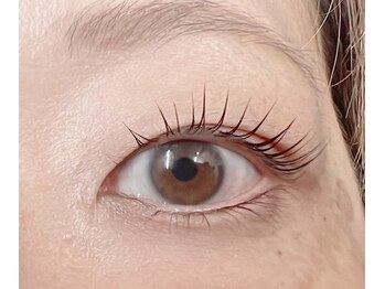 グランデ アム(Grande ame)/まつ毛パーマ/橋本/マツパ