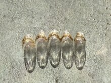 ネイルシャルネ(NAIL Charme)/★定額¥8800コース★