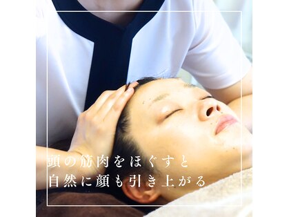 ゆずり葉の写真