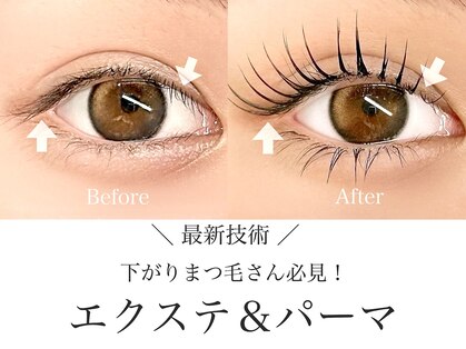 エクシア(EXCIA)の写真