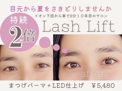 トランジットケイ(TRANSIT K)の写真