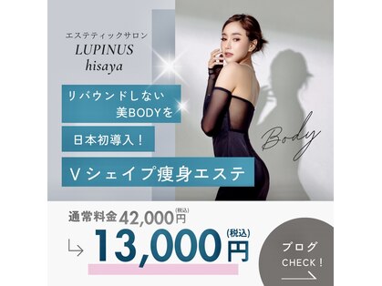 ルピナス ヒサヤ(LUPINUS hisaya)の写真