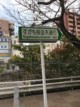 ARS 巣鴨/すがも桜並木通り