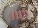 トレンドシンプルデザインネイル