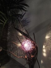 シールドゥ 今店(Sii Rue Duu)/店内照明