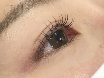 ピクシーボブ(Pixie Bob)/★根本から毛先までカール