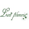 ラニ プルメリアのお店ロゴ