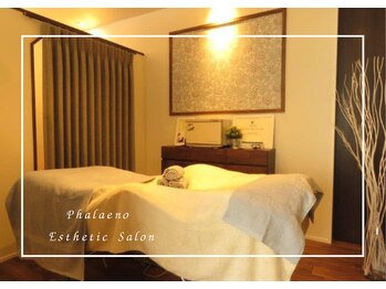 ファレノ(phalaeno)