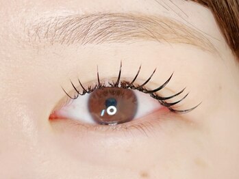 カラー(KOLOR)の写真/【大人気】似合わせまつげパーマorパリジェンヌ＋美容液コーティング付き♪