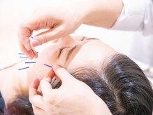 ハリリーナ 静岡(Haririna)