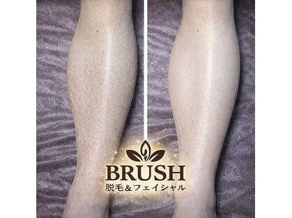 ブラッシュ(BRUSH)の写真