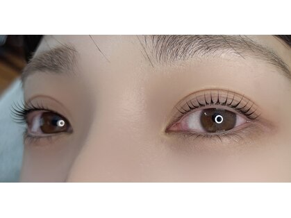 アレックスギミック(ALEX Gimick)の写真