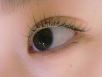 まつ毛エクステ専門店 リノ ビューティーアイラッシュ(LINO)/☆まつ毛カール☆