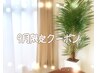 【9月限定】全身オイルリンパ(スッキリ爽快☆炭酸ヘッド付)80分 7480円