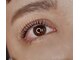 アイラッシュサロン カルモ(eye lash salon calmo)の写真