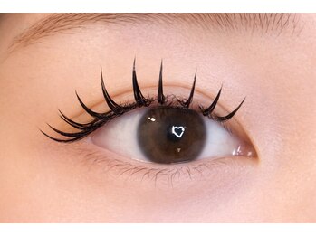 アルディ(hardi)/ダブルフラットラッシュ80束