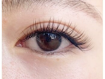 テイラー(Taylor)/140本　SATO