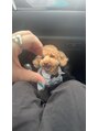 マユクリア 渋谷&nbsp;犬が好きです！！実家で犬飼ってます！
