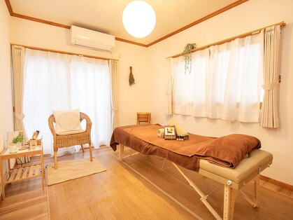 ハミングバード(Hummingbird)の写真