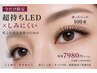 【圧倒的持続】LEDフラットボリューム100束￥7980｜オフ無料/上品な目元