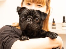 リラクゼーショントゥエンティーセブン 港北新羽(Relaxation 27)の雰囲気（自宅内でワンコ飼っています♪わんこは入店禁止しております☆）