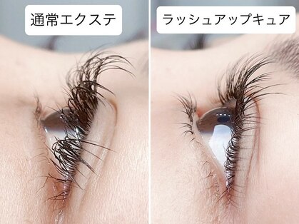 ヴィーナス(VENUS)の写真