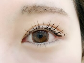 キャンディベース ノースアップ(Candybase North up)/次世代マツパ♪ラッシュリフト