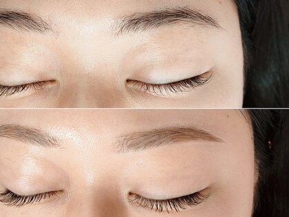 アルト(Halte)の写真