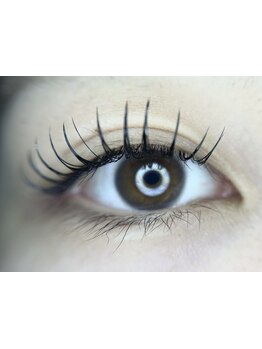 初めての方にオススメ