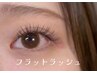 【Lunaご新規様】フラットラッシュ付け放題　¥10,000→6,950