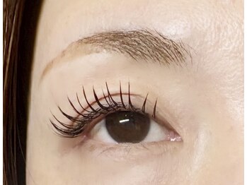 《LEDマツエク専門サロン》Eyelash Salon ステラ【平野/出戸】【7/1NEW OPEN(予定)】の写真/付け放題メニューで華やかなデザインと可能♪