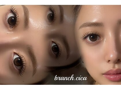 branch.cicaの写真