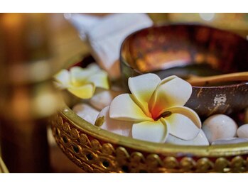 ジャスミン(jasminum)/