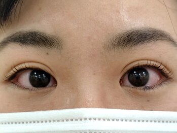 ラシェスキタモト (luscius kitamoto)/まつ毛パーマCカール