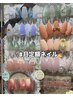 大人気♪今月定額ネイル7000円※オフ有りはメニューよりご選択下さい☆