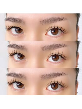 リブ(LIB)/フラットラッシュ