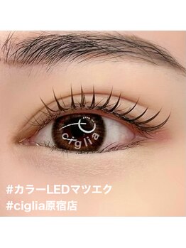 チッリア 原宿店(ciglia)/LEDiLashマツエク