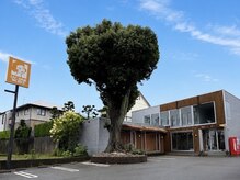 ラグ ネイルアンドアイ 草薙店(lag)の雰囲気（南幹線沿い、黄色の看板と大きな木を目印にご来店ください！）