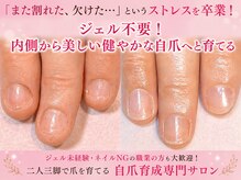 ココデネイル(cocode nail)